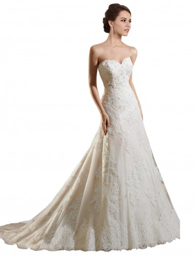 Elfenbein & Champagner A-Linien Kapelle-schleppe Tüll Spitze Brautkleider Kaufen