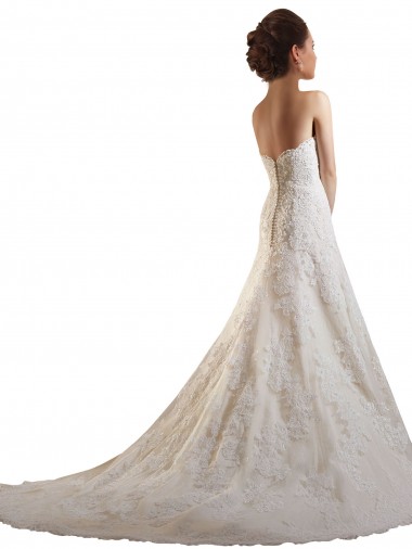 Elfenbein & Champagner A-Linien Kapelle-schleppe Tüll Spitze Brautkleider Kaufen