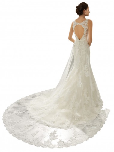 Elfenbein & Champagner Meerjungfrau V-Ausschnitt Kapelle-schleppe Tüll Spitze Brautkleider Kaufen